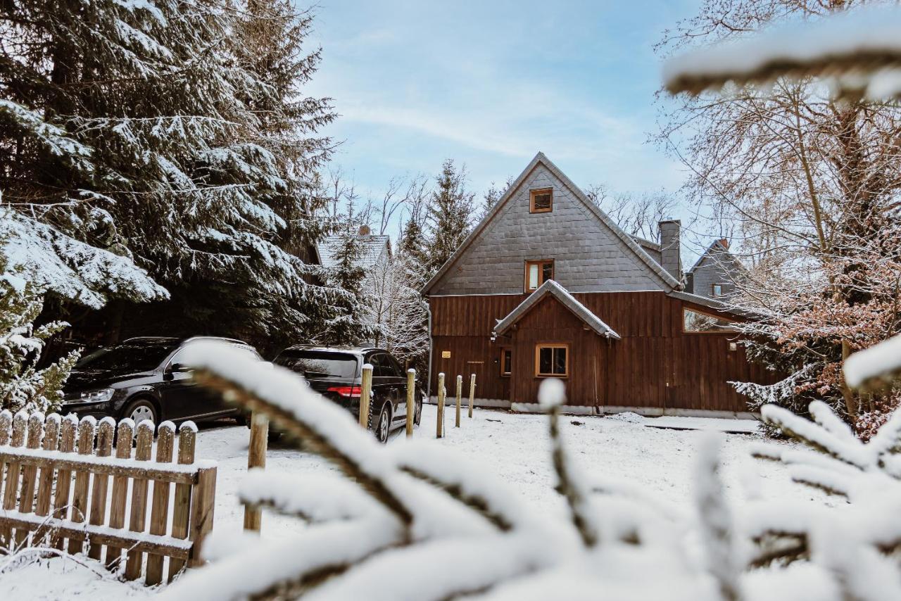 Harzchalet An Der Brockenbahn 2B Elend Dış mekan fotoğraf