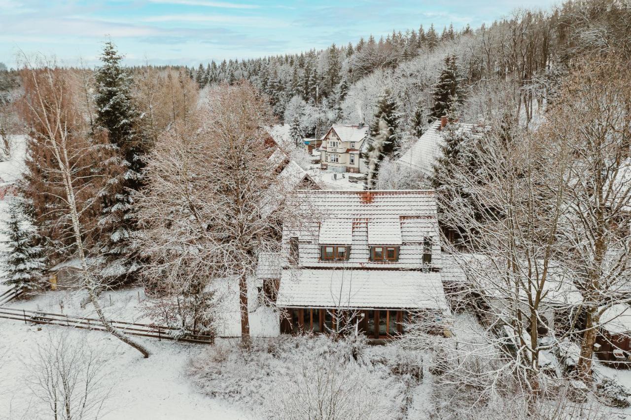 Harzchalet An Der Brockenbahn 2B Elend Dış mekan fotoğraf